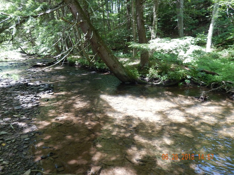 -Kettle Valley-009-.jpg - This is just one pretty stream.  Hard to believe I never fished it before.